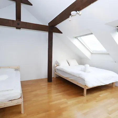 Penthouse With Jacuzzi, Sauna And Rooftop * Zurigo