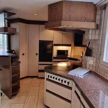 Appartement Penthouse With Jacuzzi, Sauna And Rooftop Zürich